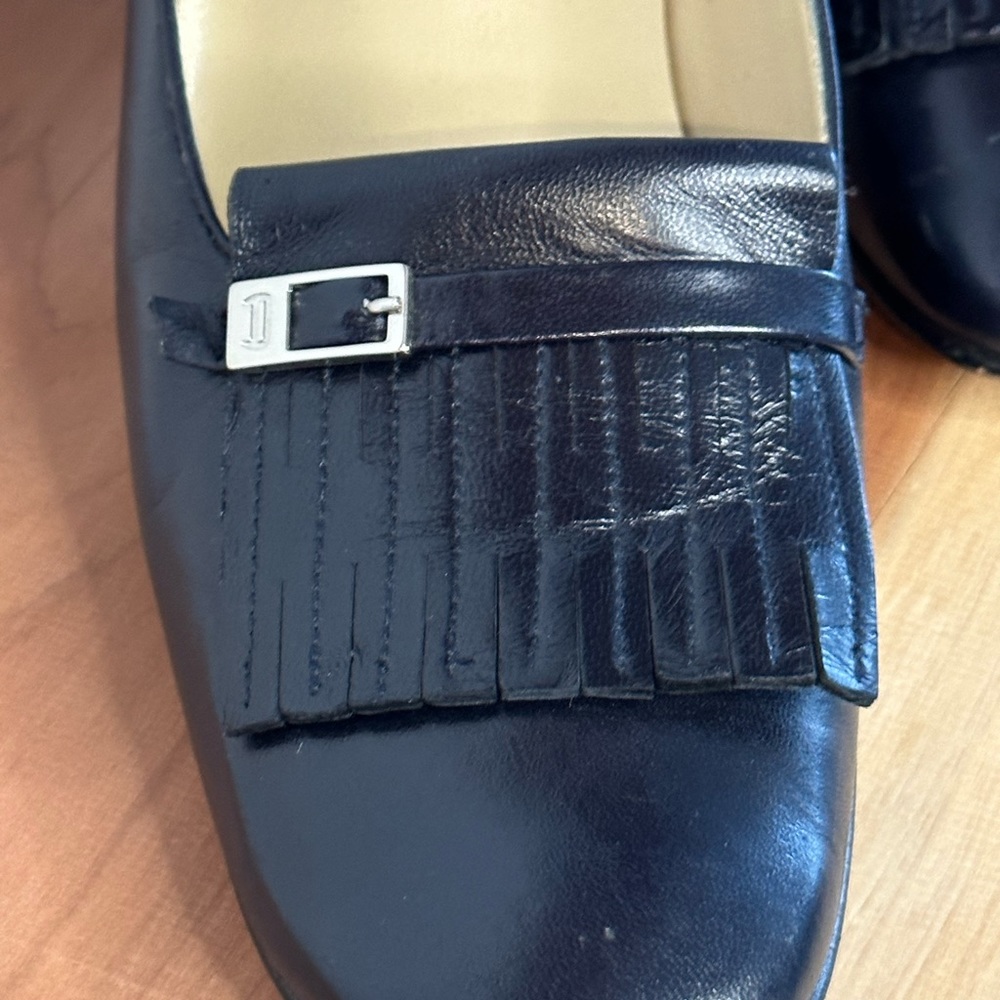 ENTIENNE AIGNER Navy shoe . 10N. 3” heel, Nottingham. Beautiful shoes, nice.